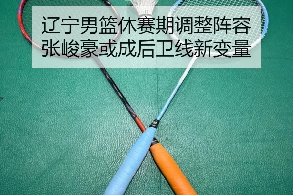 辽宁男篮休赛期调整阵容 张峻豪或成后卫线新变量